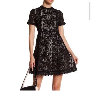 BB Dakota Adeline Lace Mini with Mock Neck